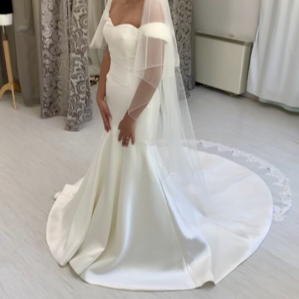 Pronovias Delco wedding dress. Unaltered. - Picture 3 of 3